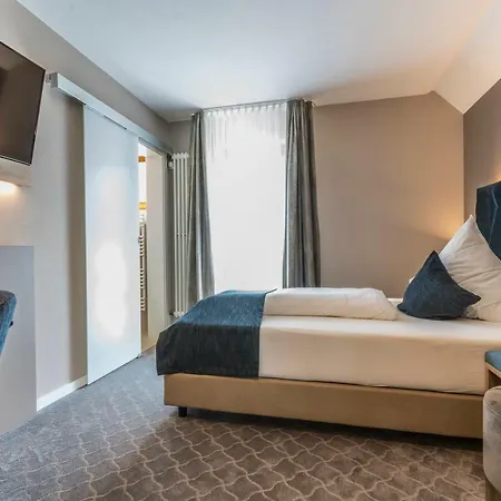 酒店 玫瑰园别墅加尼酒店 于伯林根