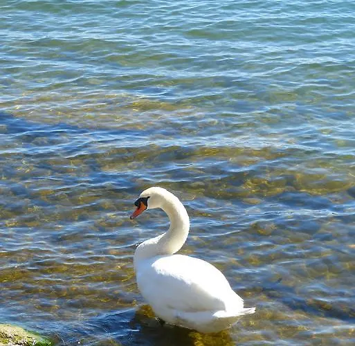 Garni Rosengarten Hotell 4*